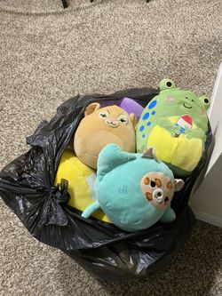 Bag Of Squishmallows 