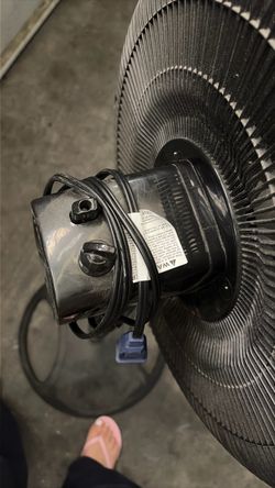 fan