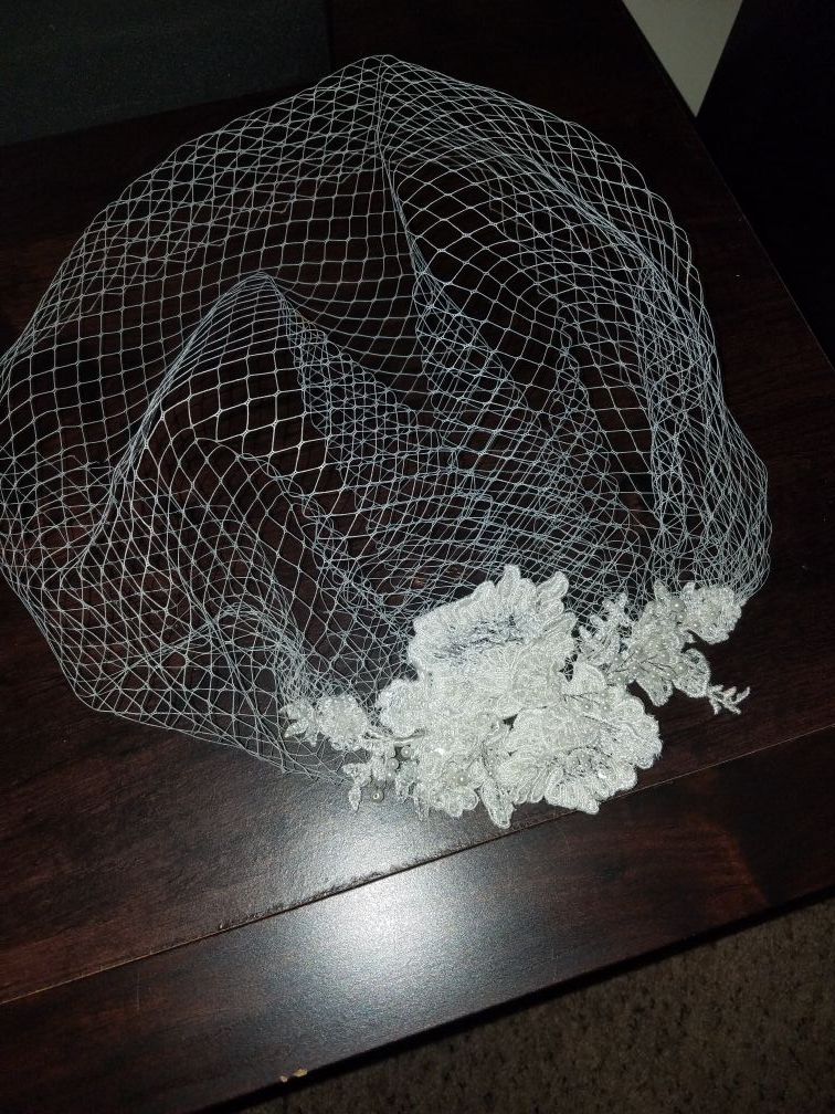 David's Bridal birdcage veil