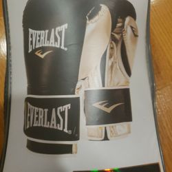 Everlast training Gloves
