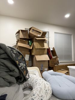 Free Boxes