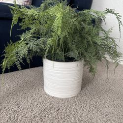 Target Threshold Faux Plant