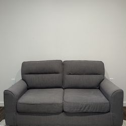 Grey Couch Love Seat