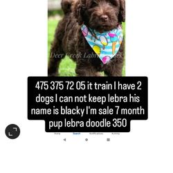 06451