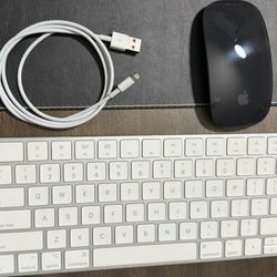 Apple Keyboard And Mouse Black 