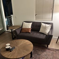 Mid Century Modern Couches with Tables