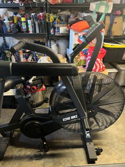 Rogue echo bike
