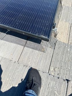 Solar panels bird proofing and cleaning