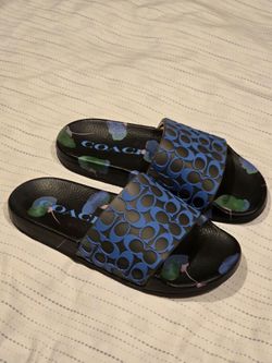 Coach sandals (size 6)