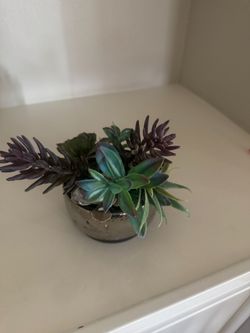 Fake plants