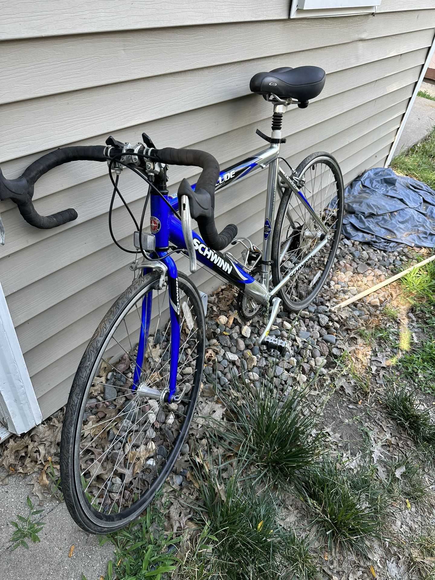 Schwinn Prelude 2000's