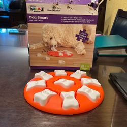 Dog Smart Outward Hound Dog Puzzle Toy