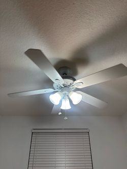 Ceiling fan