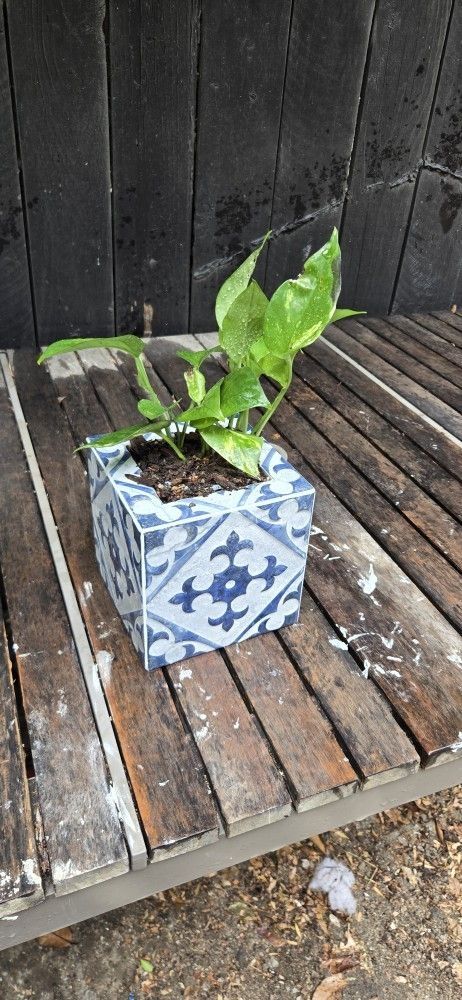 Custom Tile Flower Pot,,