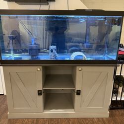 75 Gallon Fish Tank With Stand
