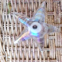 Pretty Glass Stsrfish Paperweight
