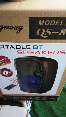 8" karaoke speaker
