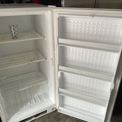 Woods White 16.0 Cu Ft Upright Freezer 