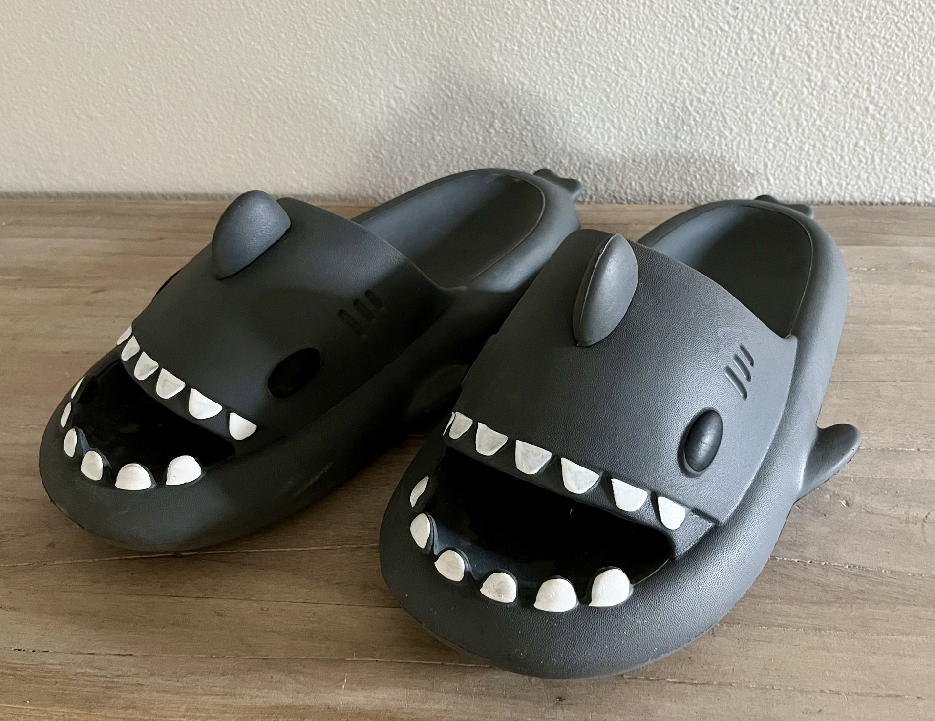 Cloud shark Slides