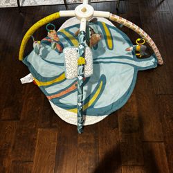 Baby Playmat