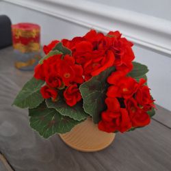 Handmade flower arrangement in cement planter