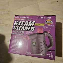 Steam Cleaner