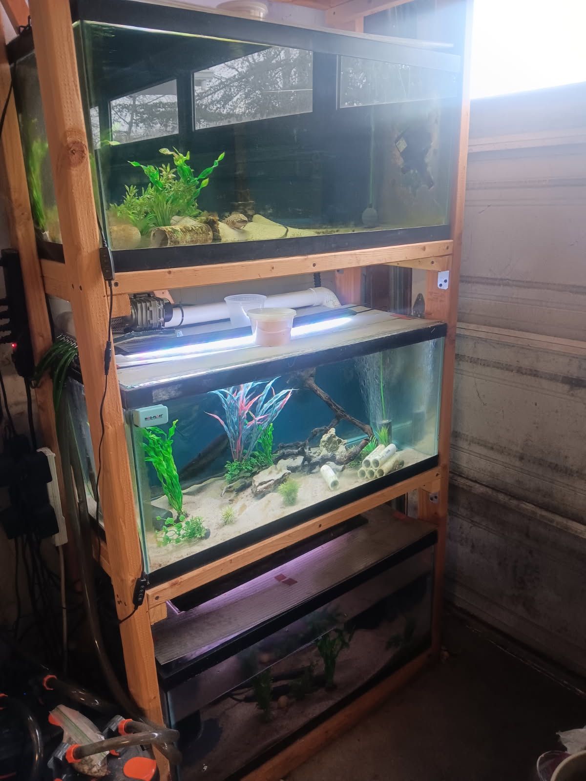 40 Gallon Racks Full Set Up.