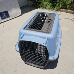 Dog Gets Size 24 Inch Wide $35