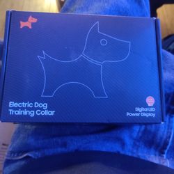 X300 Electric Dog Training Collar