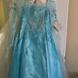Elsa Costume
