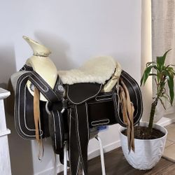 Montura Charra 