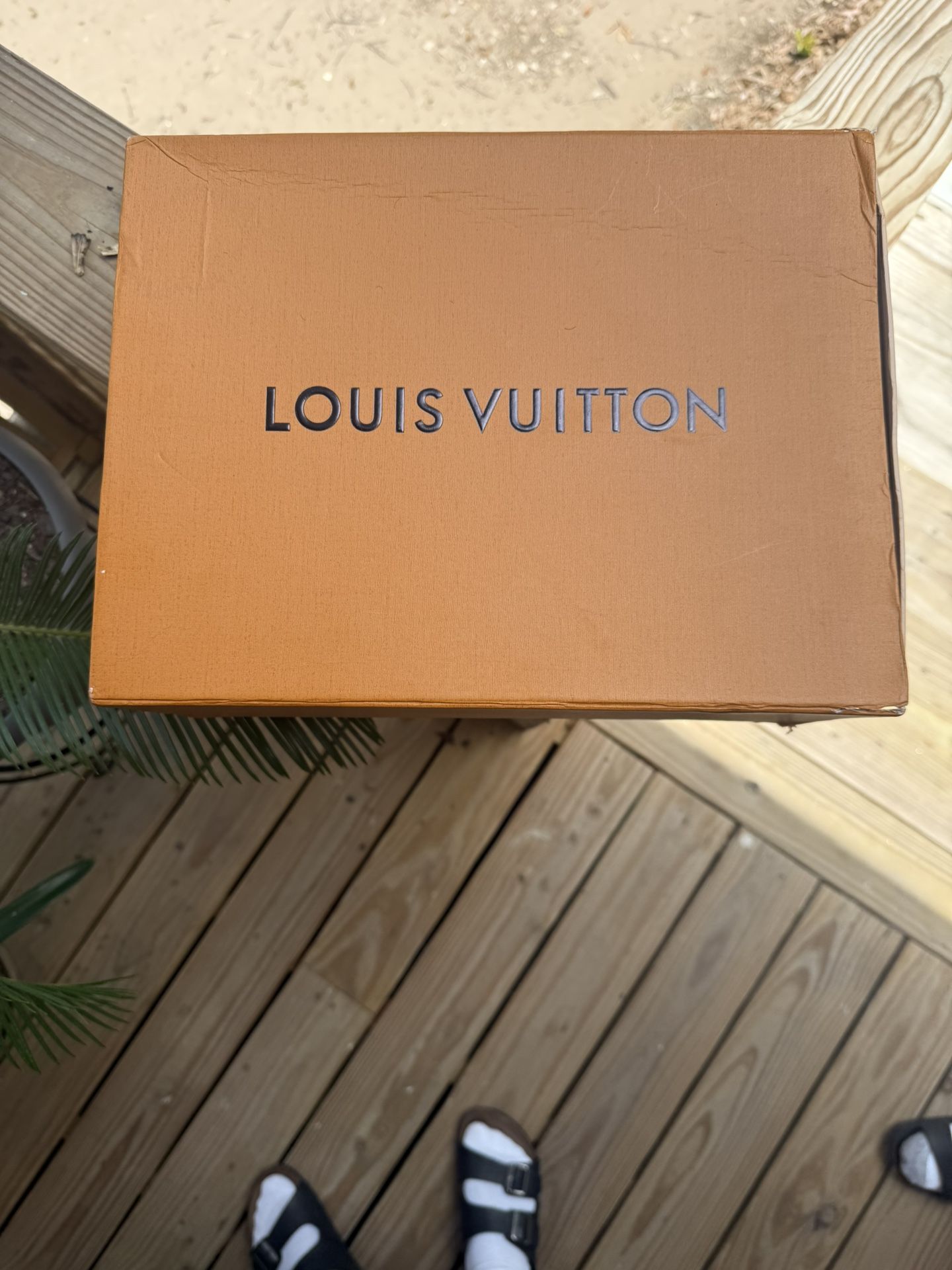 Louis Vuitton Trainer Outdoor Sneaker