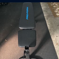 Weight Bench 