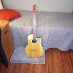 Acoustic Electric Fretless Bass 