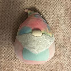 Rayford the gnome squishmallow 