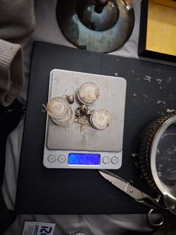207 g of silver coins