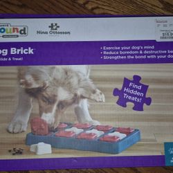 Outward Hound Brick Blue Puzzle Dog Toy
