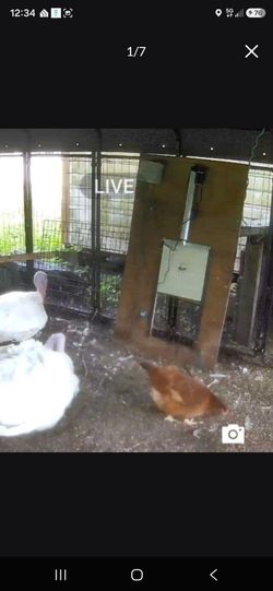 Wifi/automatic Chicken Coop Door 130 Obo