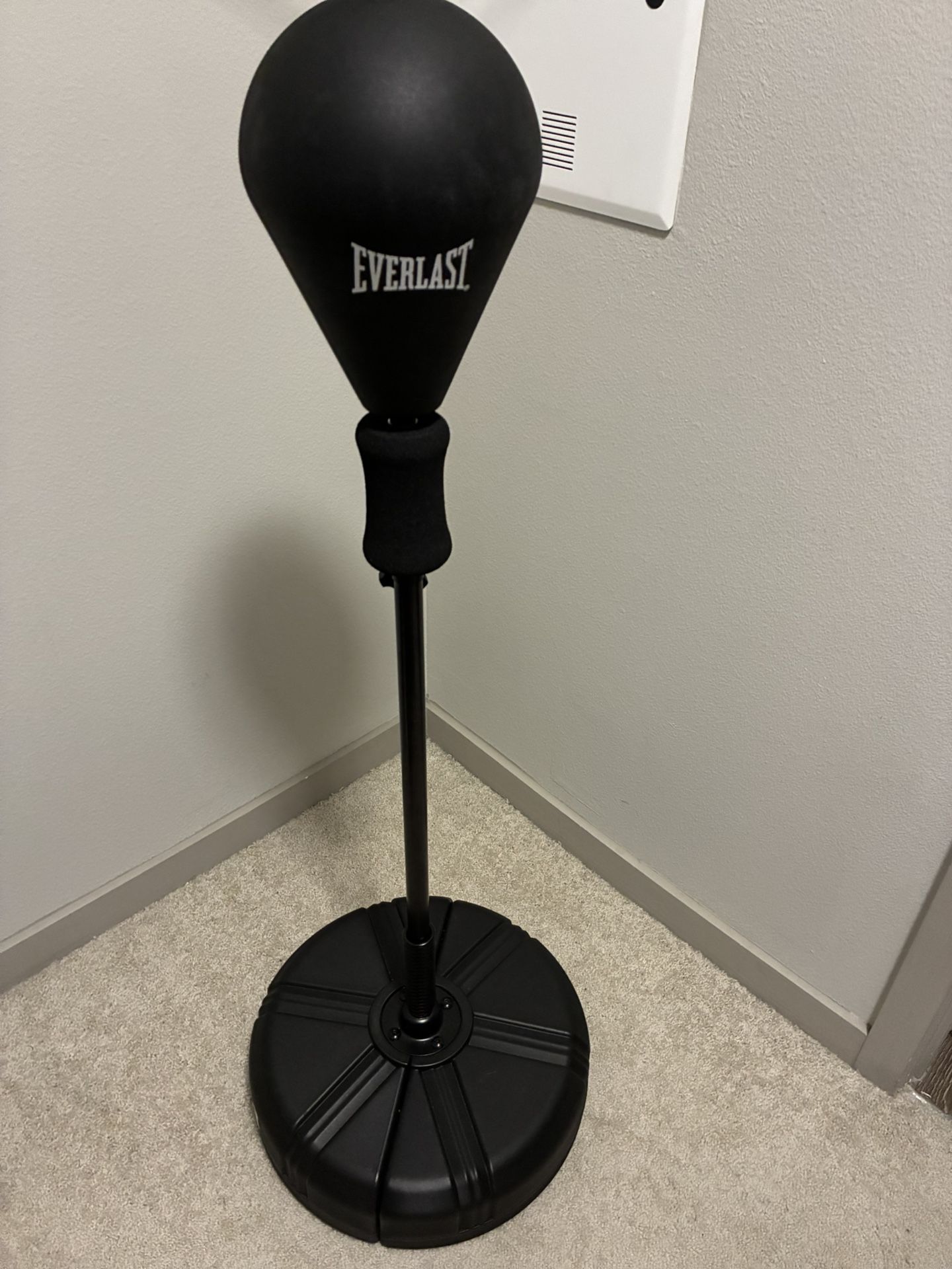 Standing Punching Bag