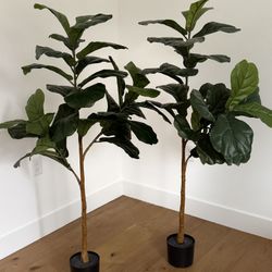 Artificial Ficus Trees 2 For 50$