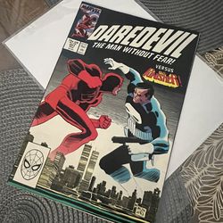 Daredevil Vs Punisher comic