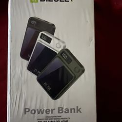 Power Bank