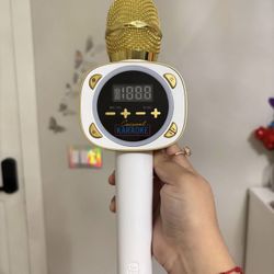 Karaoke Bluetooth Mic