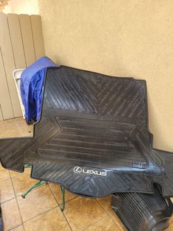 Lexus all weather mat