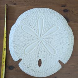 Sand Dollar Wall Art