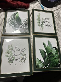 Decoration Plant  6x8