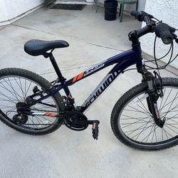 Schwinn Ranger