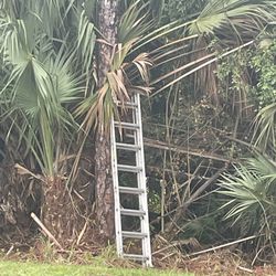 Ladder