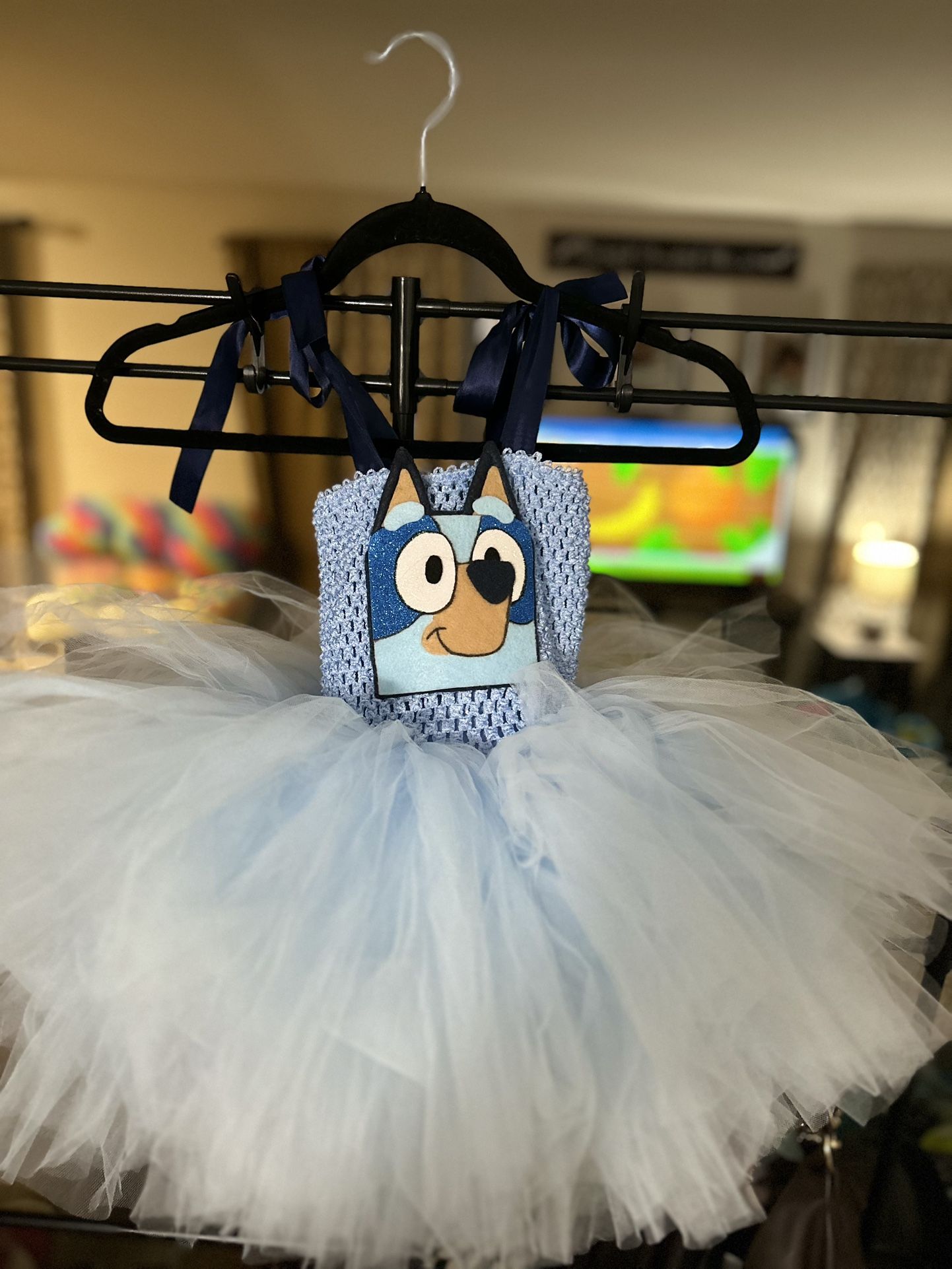 Bluey Halloween/birthday Outfit