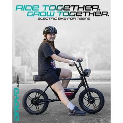 Droyd Blipper Electric Mini Bike 